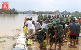 Huy động gần 500 người chống tràn đê tả Bùi ở Chương Mỹ